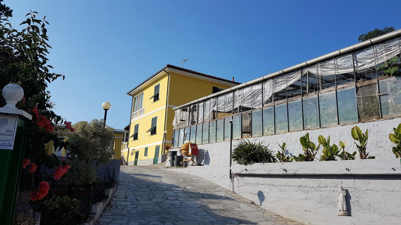 immagine annuncio 4 di 10