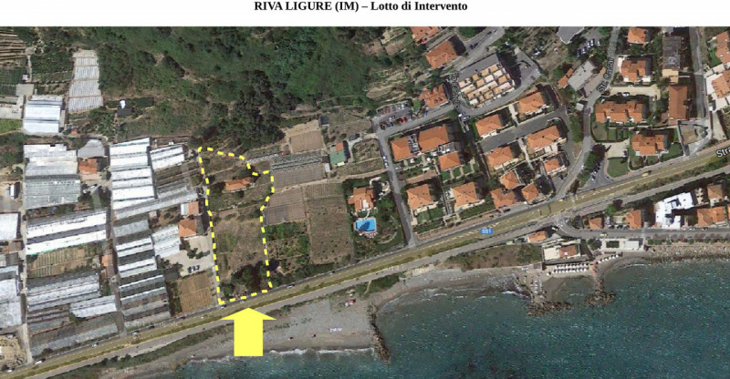 immagine annuncio 3 di 8