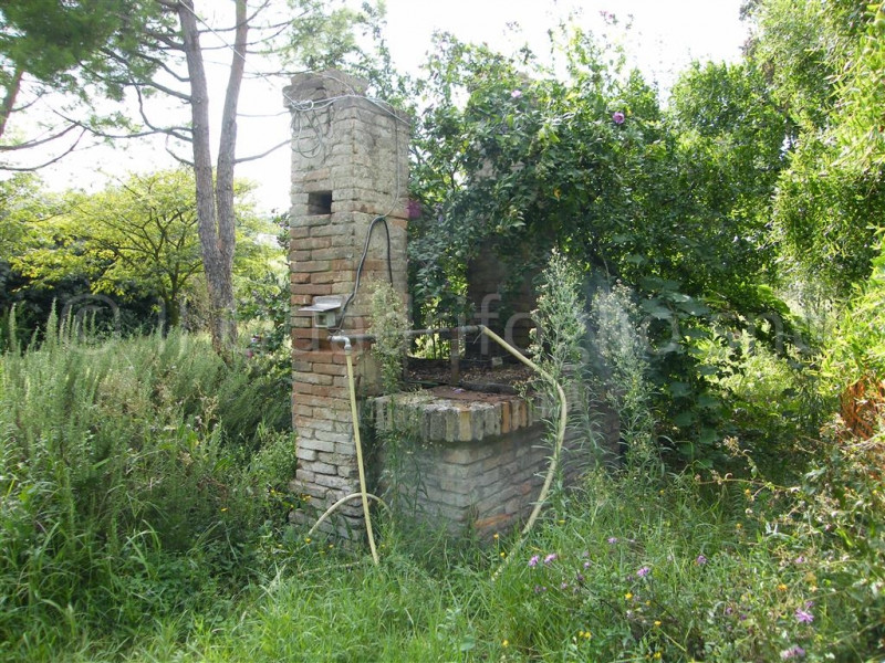 immagine annuncio 2 di 8