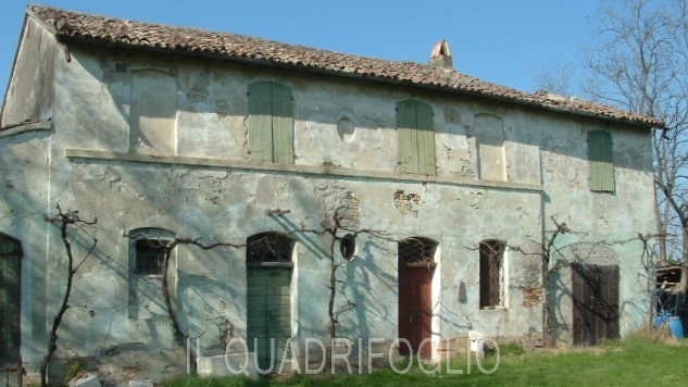 immagine annuncio 2 di 6