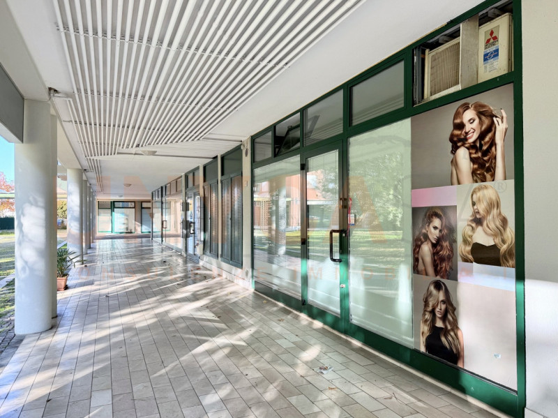 immagine annuncio 2 di 8