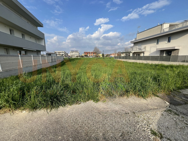 immagine annuncio 4 di 6