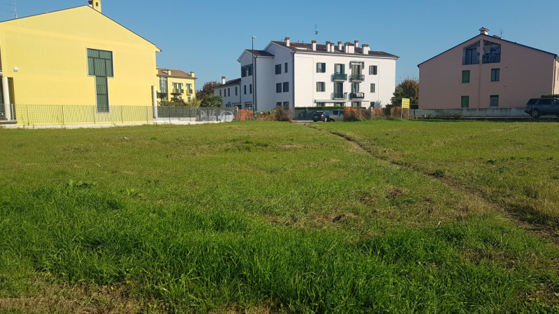 immagine annuncio 2 di 7