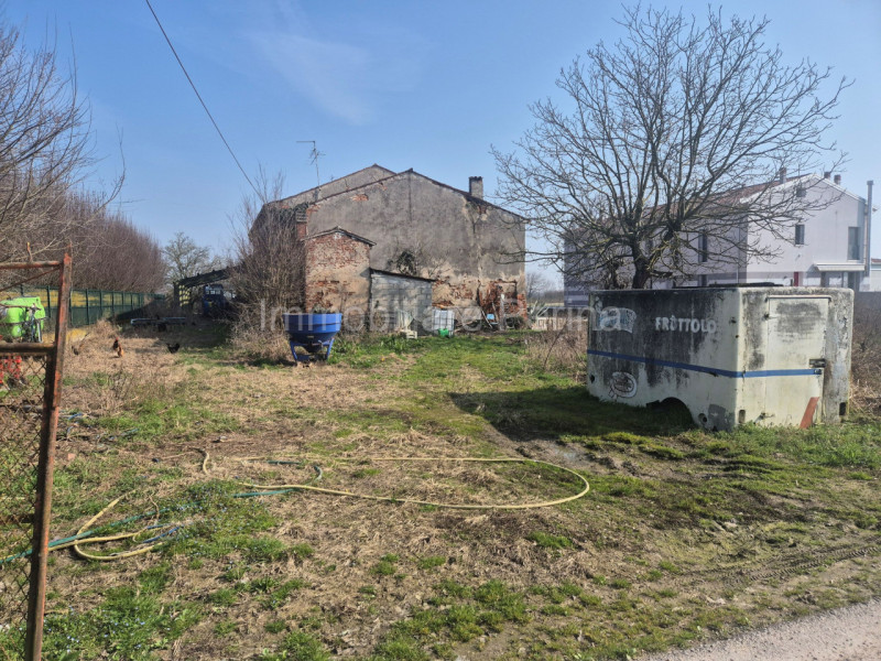 immagine annuncio 5 di 7