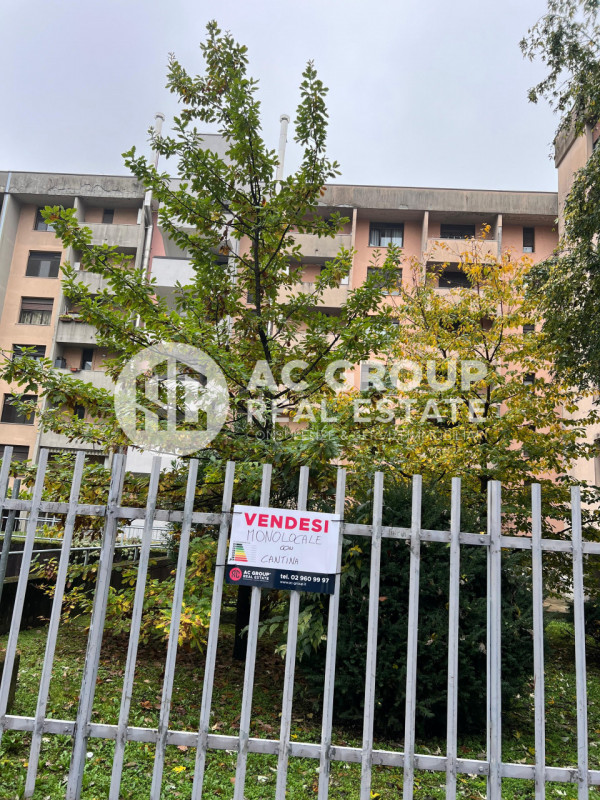 immagine annuncio 2 di 10