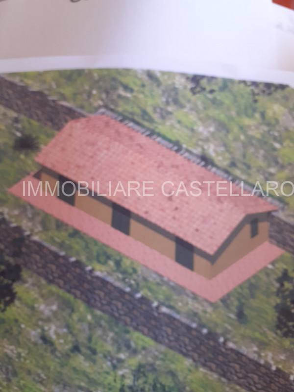 immagine annuncio 4 di 7