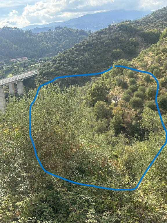 immagine annuncio 4 di 9