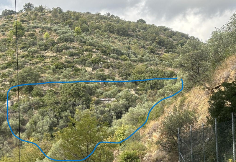 immagine annuncio 3 di 9