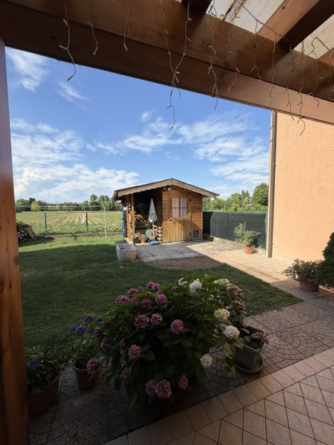 immagine annuncio 7 di 10