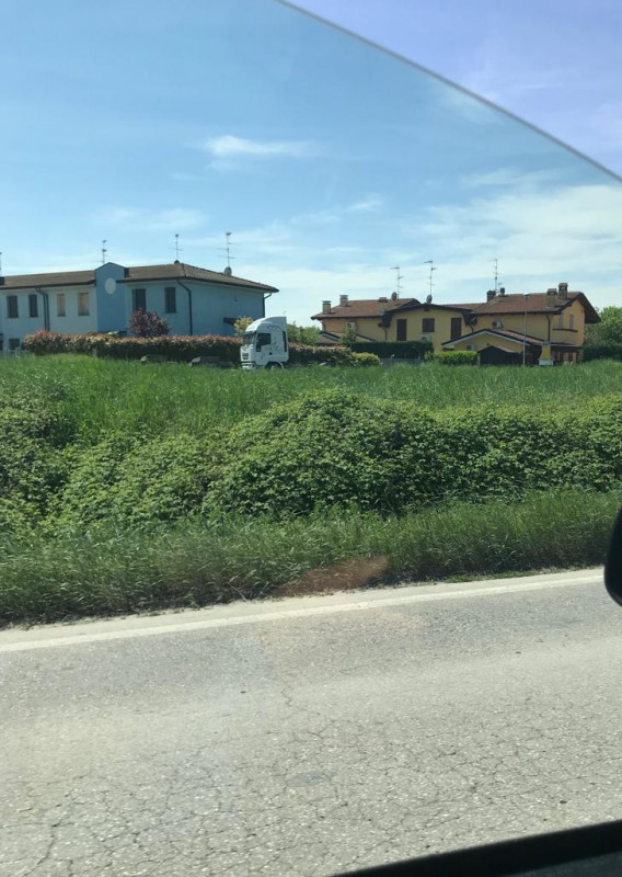 immagine annuncio 1 di 2