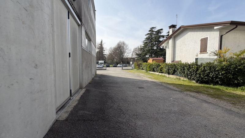 immagine annuncio 5 di 8