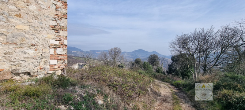 immagine annuncio 1 di 8