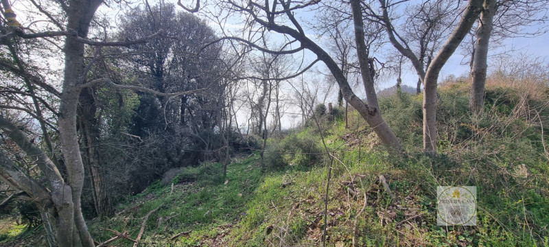 immagine annuncio 6 di 8