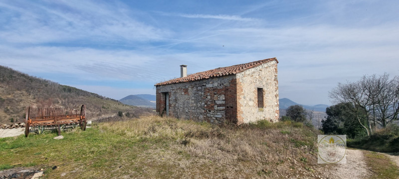 immagine annuncio 5 di 8