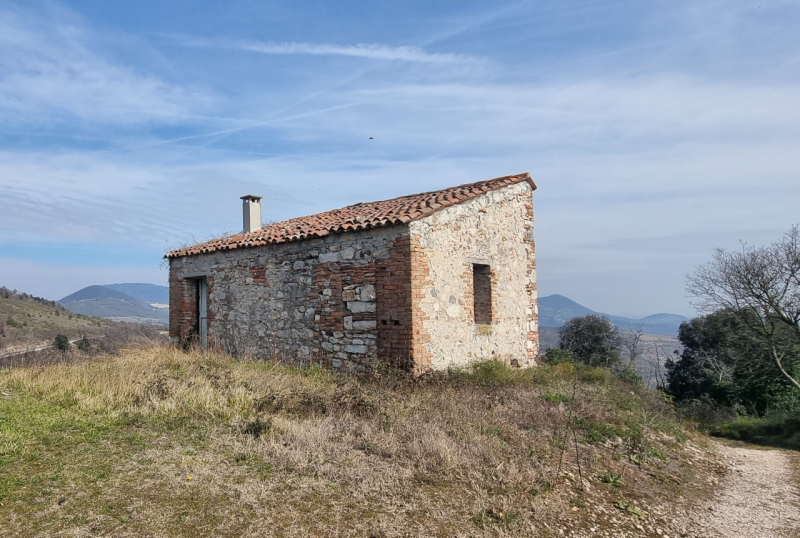 immagine annuncio 4 di 8