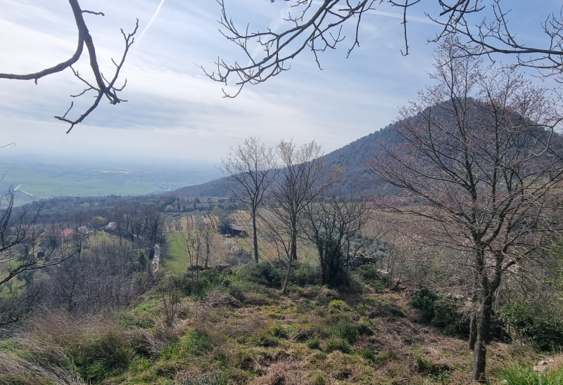 immagine annuncio 7 di 8