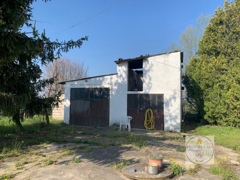 immagine annuncio 3 di 10