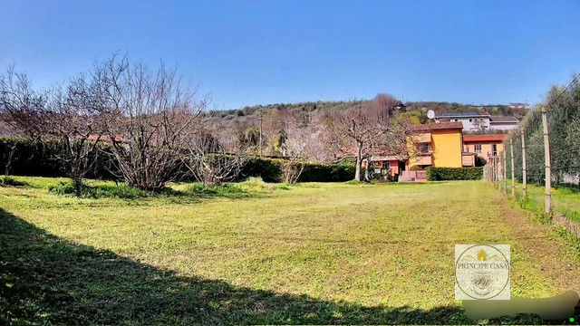 immagine annuncio 5 di 8
