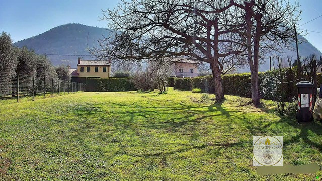 immagine annuncio 6 di 8