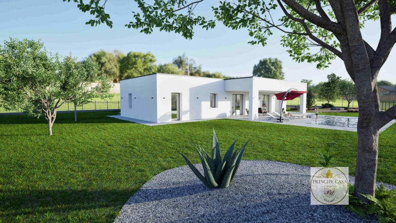 immagine annuncio 2 di 9