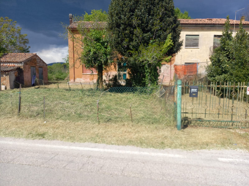 immagine annuncio 2 di 9