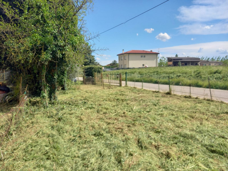 immagine annuncio 7 di 9