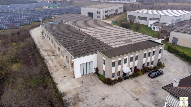 immagine annuncio 2 di 9