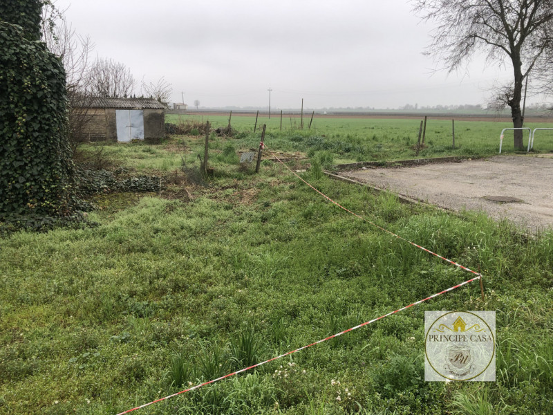 immagine annuncio 5 di 7