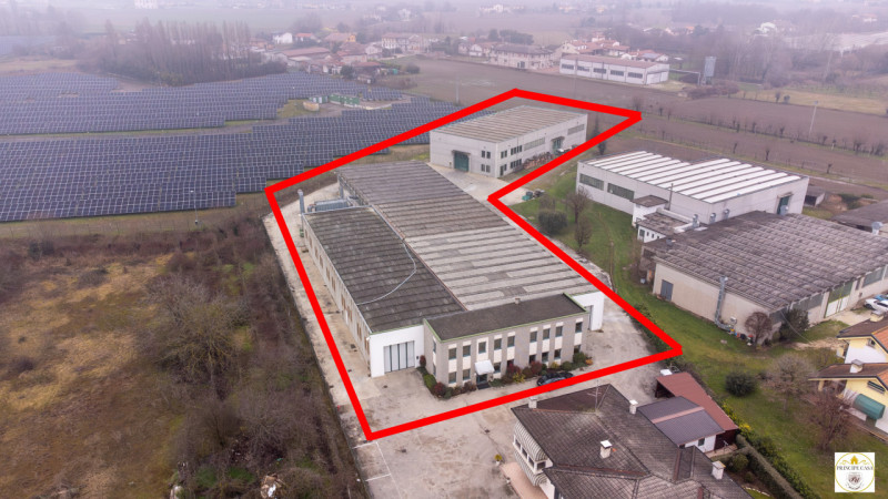 immagine annuncio 6 di 9