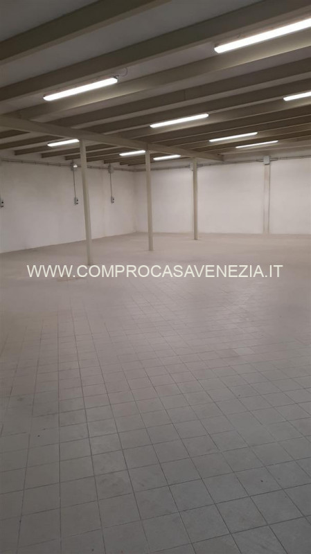 casa indipendente in affitto a Casale sul Sile in zona Lughignano