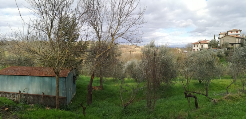 immagine annuncio 3 di 4