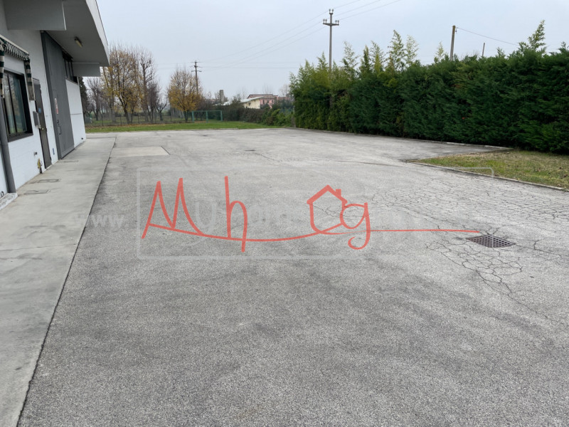 immagine annuncio 5 di 8