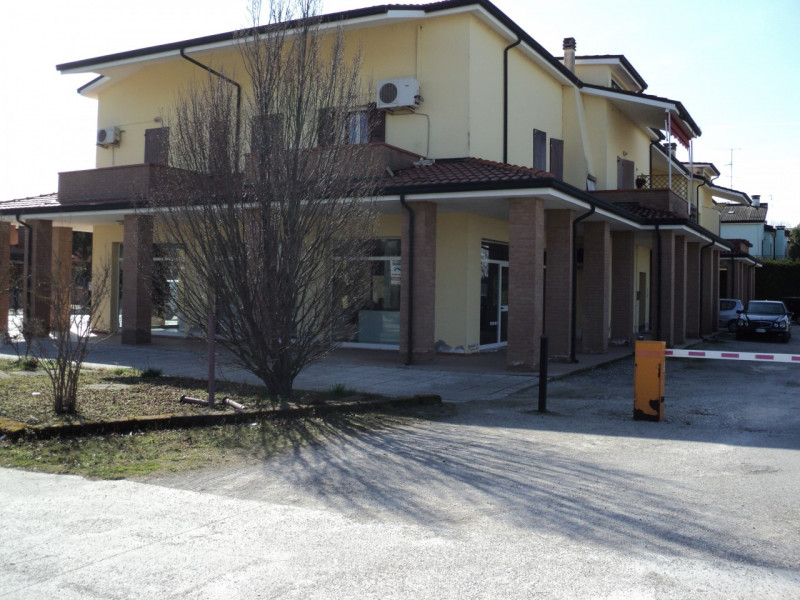 immagine annuncio 4 di 8