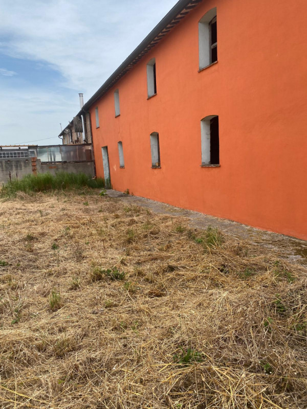 immagine annuncio 2 di 6