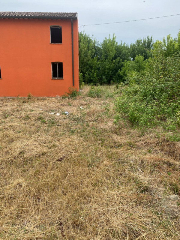 immagine annuncio 1 di 6