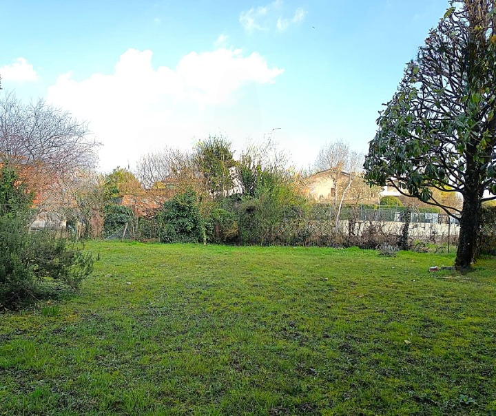 immagine annuncio 5 di 7