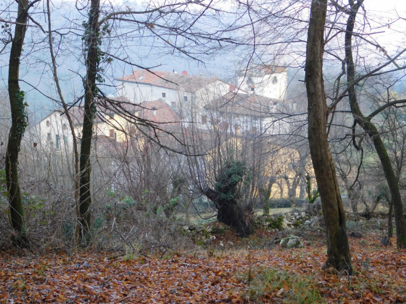 immagine annuncio 2 di 6