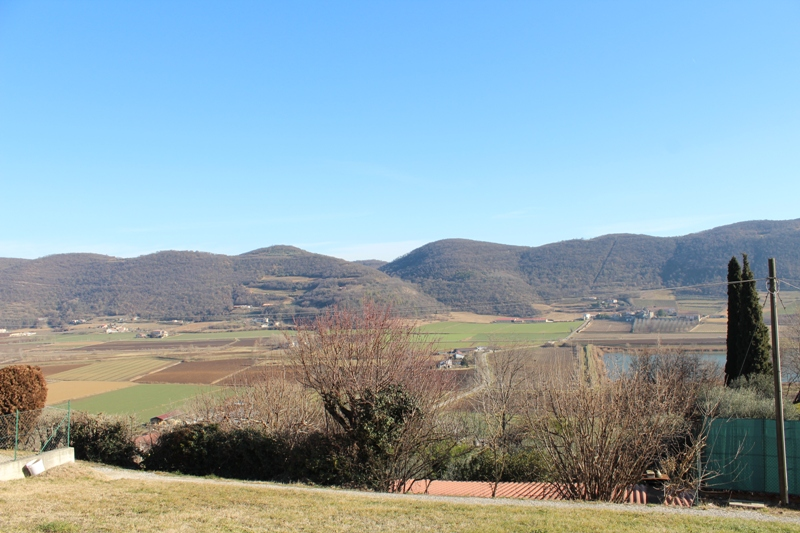immagine annuncio 3 di 7