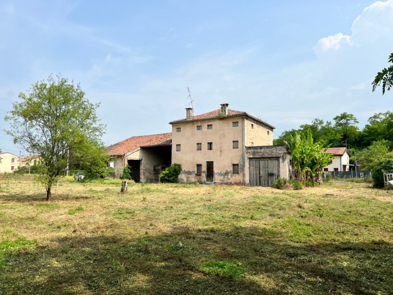 immagine annuncio 3 di 7