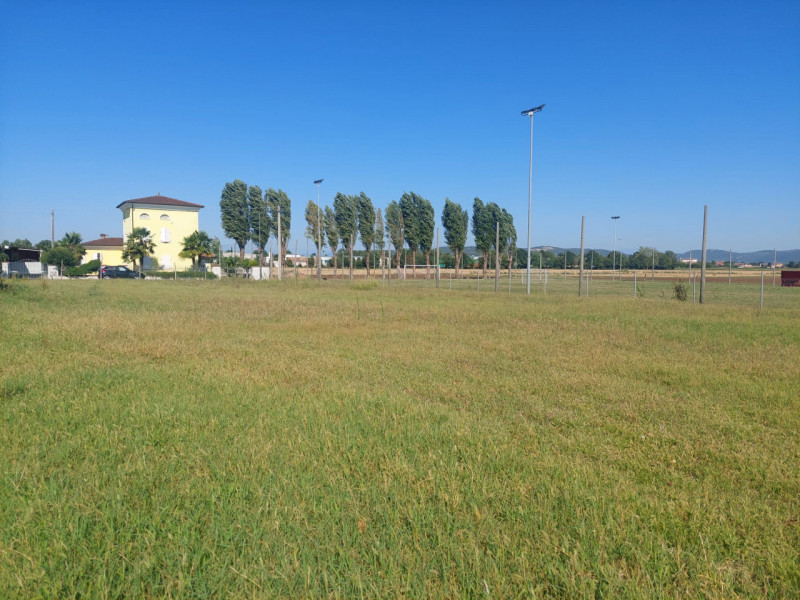 immagine annuncio 7 di 8