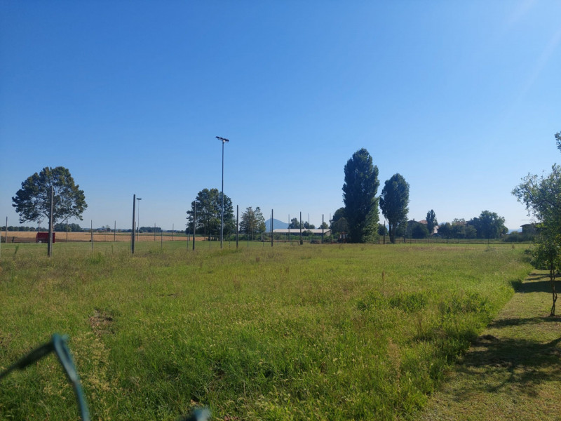 immagine annuncio 1 di 8