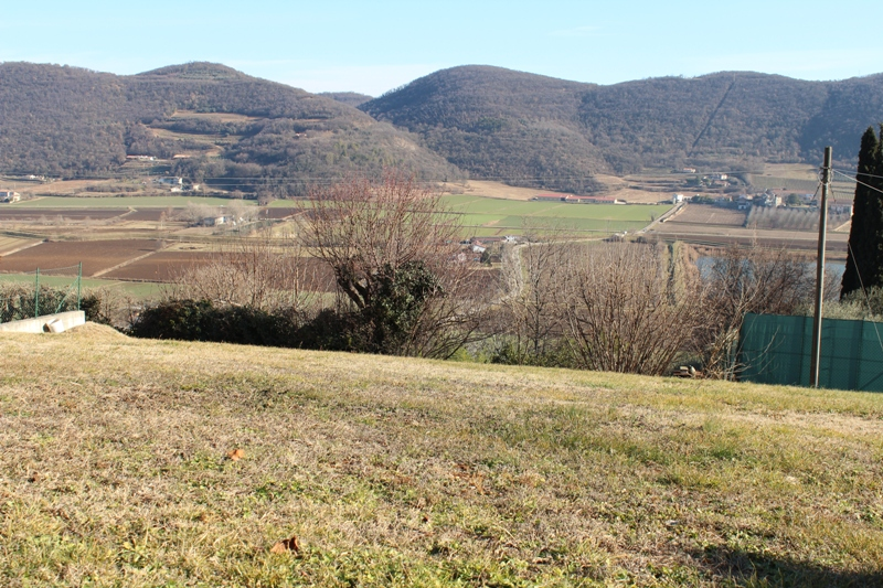 immagine annuncio 5 di 7