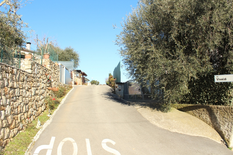 immagine annuncio 6 di 7