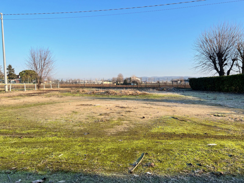 immagine annuncio 2 di 3