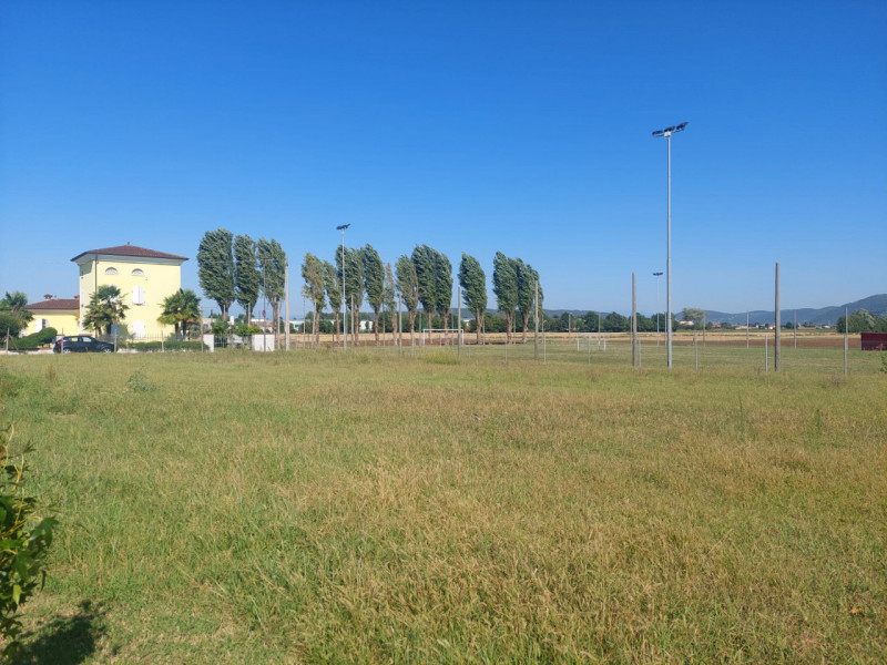 immagine annuncio 5 di 8