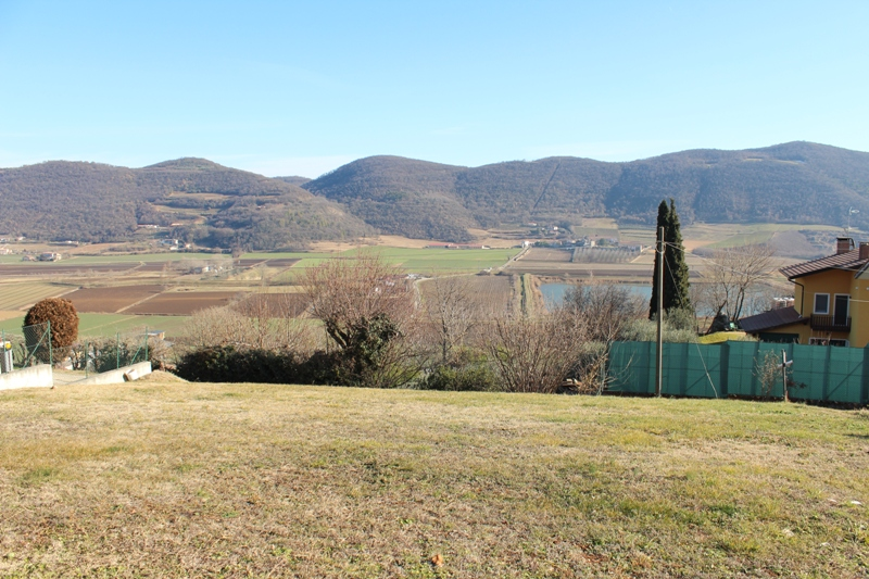 immagine annuncio 3 di 7