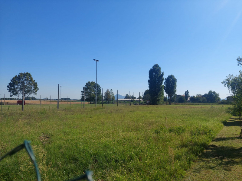 immagine annuncio 2 di 8