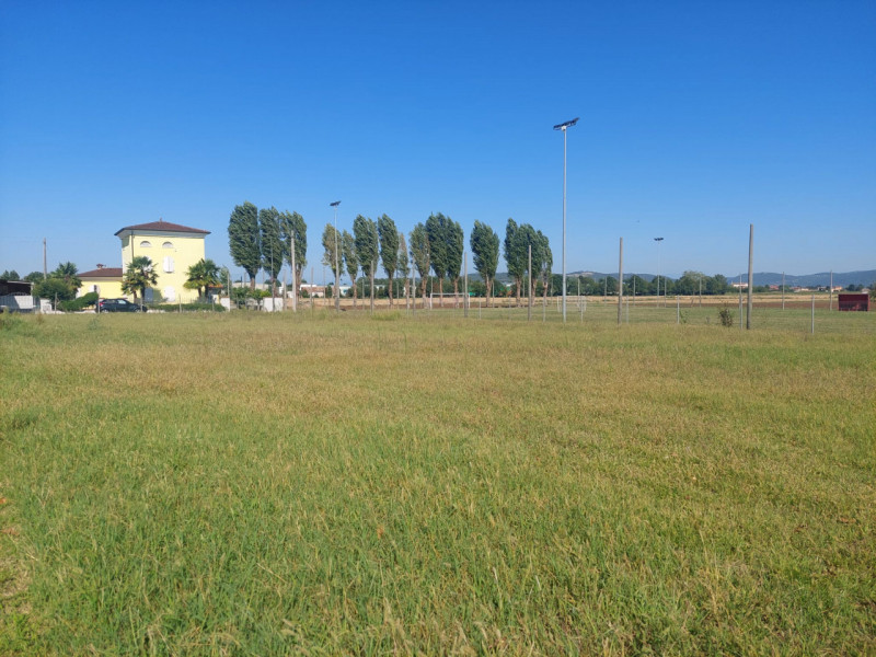 immagine annuncio 5 di 8