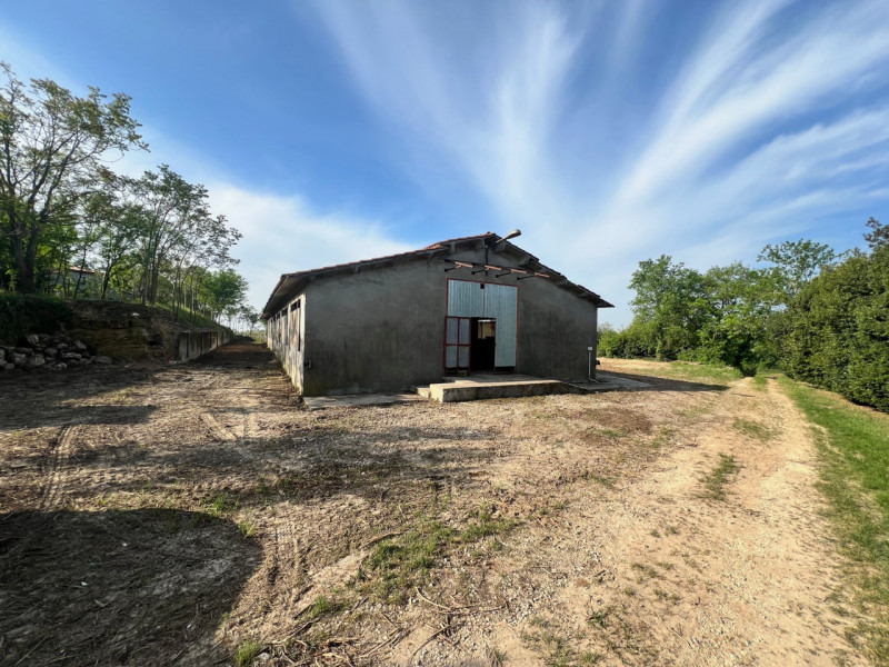 immagine annuncio 2 di 4