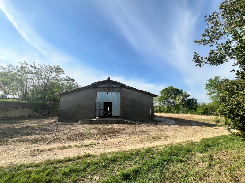 immagine annuncio 3 di 4